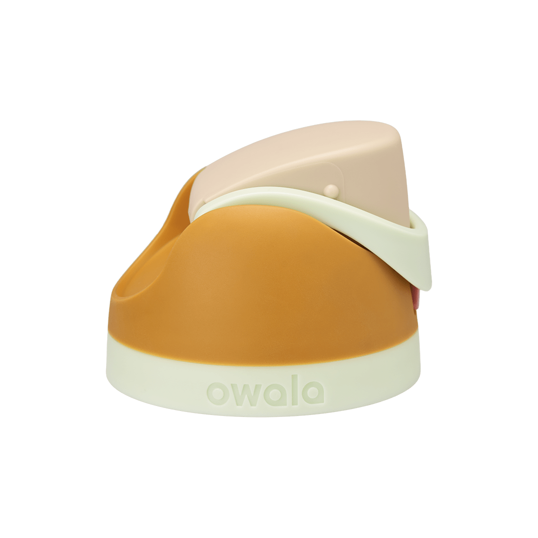 Replacement Lids - Water in the Desert